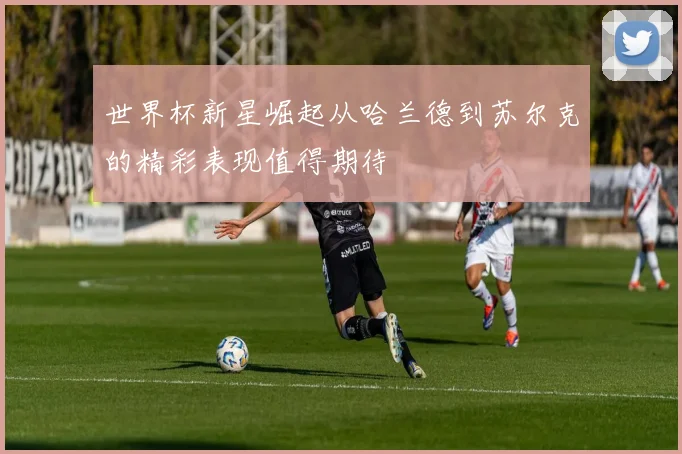 世界杯新星崛起从哈兰德到苏尔克的精彩表现值得期待