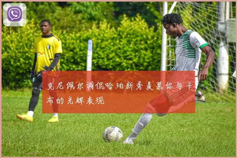 克尼佩尔调侃哈珀新秀羡慕你与卡布的光辉表现